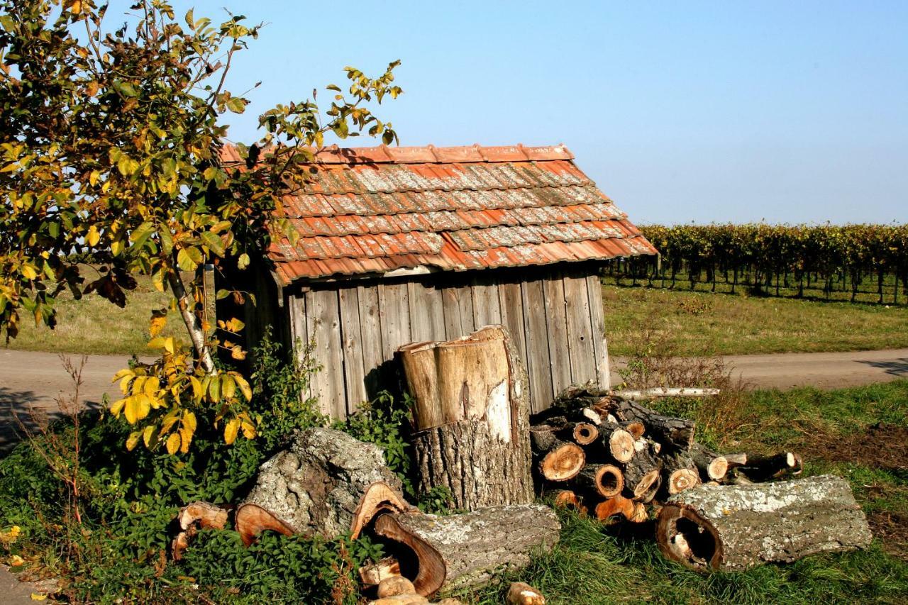Weingut Breitenfelder レッツ エクステリア 写真